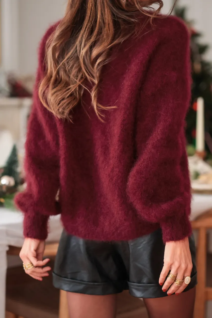 Shop Pull Daisy bordeaux Pulls